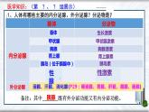 4.6.4激素调节课件2021—2022学年人教版七年级下册生物