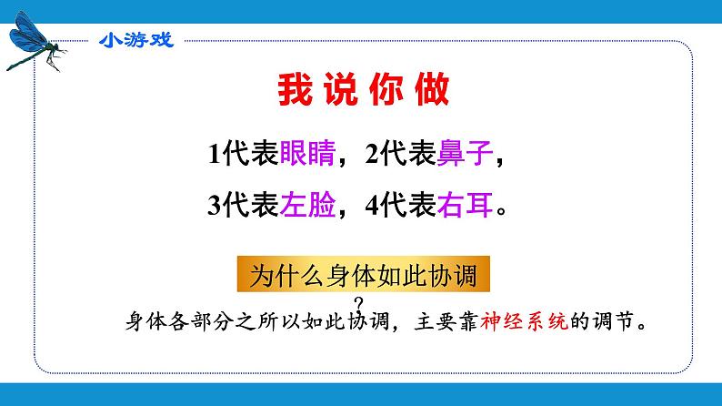 4.6.2神经系统的组成课件2021---2022学年人教版生物七年级下册第2页