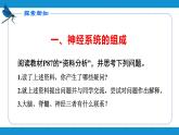 4.6.2神经系统的组成课件2021---2022学年人教版生物七年级下册