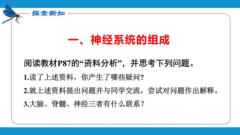 4.6.2神经系统的组成课件2021---2022学年人教版生物七年级下册第3页