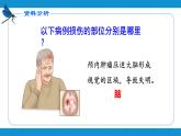 4.6.2神经系统的组成课件2021---2022学年人教版生物七年级下册