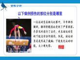 4.6.2神经系统的组成课件2021---2022学年人教版生物七年级下册