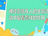 4.6.3神经调节的基本方式课件2021---2022学年人教版生物七年级下册