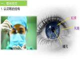 4.6.1人体对外界环境的感知课件2021---2022学年人教版七年级生物下册