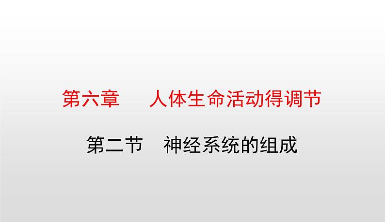 4.6.2神经系统的组成课件-2021-2022学年人教版生物七年级下册01