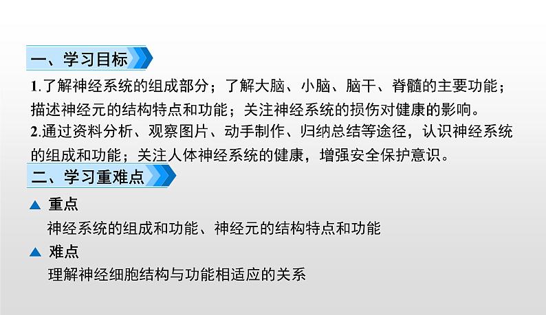 4.6.2神经系统的组成课件-2021-2022学年人教版生物七年级下册02