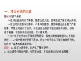 4.6.2神经系统的组成课件-2021-2022学年人教版生物七年级下册