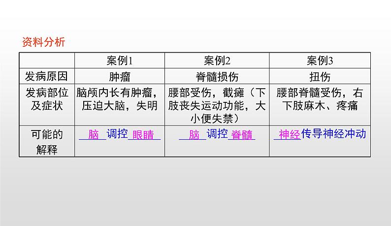 4.6.2神经系统的组成课件-2021-2022学年人教版生物七年级下册06