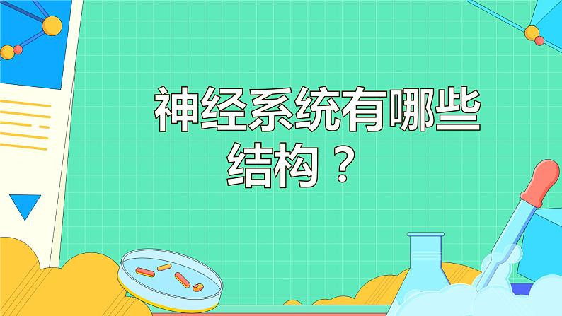 4.6.2神经系统的组成课件2021-2022学年人教版生物七年级下册第4页