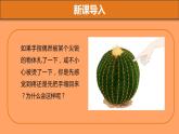 4.6.3神经调节的基本方式课件2021-2022学年人教版生物七年级下册