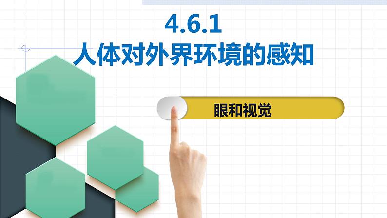 4.6.1人体对外界环境的感知——眼和视觉课件2021-2022学年人教版生物七年级下册第3页