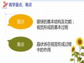 4.6.1人体对外界环境的感知——眼和视觉课件2021-2022学年人教版生物七年级下册