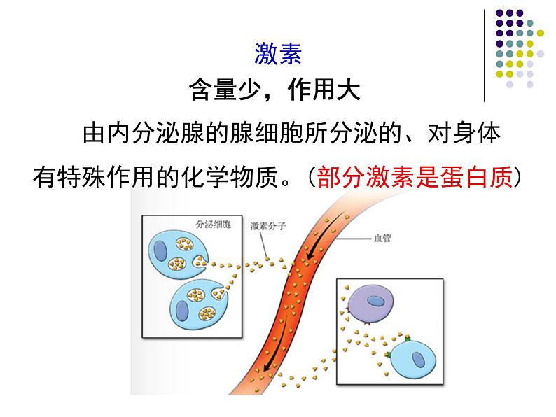 4.6.4激素调节课件2021--2022学年人教版生物七年级下册(1)06