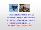 4.6.2神经系统的组成课件2021-2022学年人教版生物七年级下册