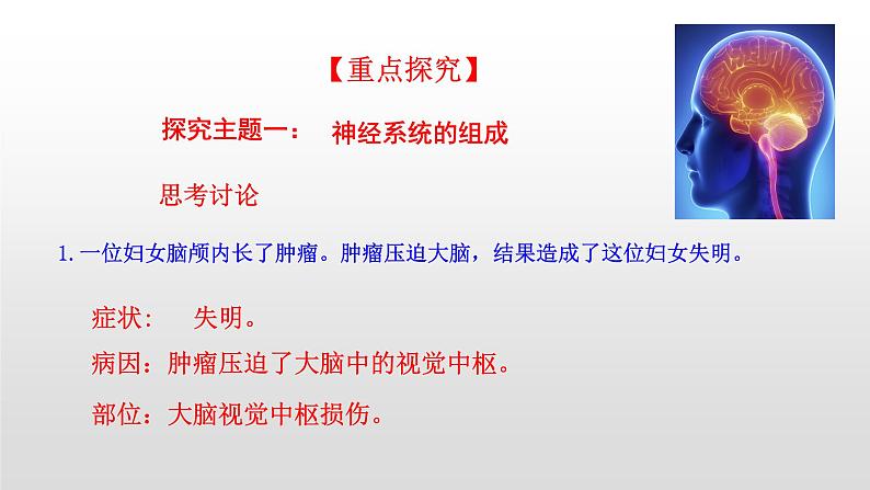 4.6.2神经系统的组成课件2021-2022学年人教版生物七年级下册04