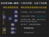 4.6.2神经系统的组成课件2020—2021学年人教版生物七年级下册