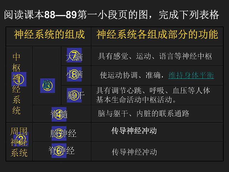 4.6.2神经系统的组成课件2020—2021学年人教版生物七年级下册第5页