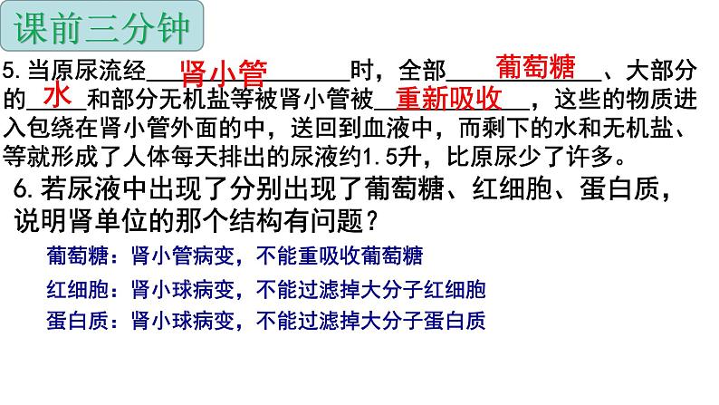 4.6.1人体对外界环境的感知课件2021-2022学年人教版七年级生物下册02