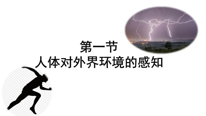 4.6.1人体对外界环境的感知课件2021-2022学年人教版七年级生物下册03