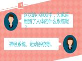 4.6.2神经系统的组成课件2021--2022学年人教版生物七年级下册(1)