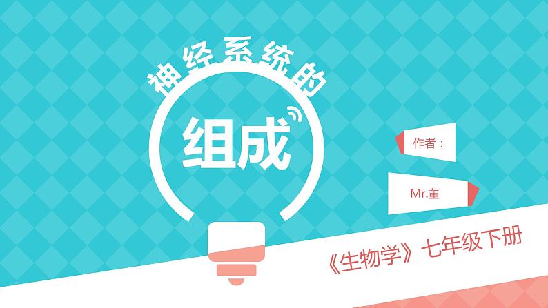 4.6.2神经系统的组成课件2021--2022学年人教版生物七年级下册(1)04