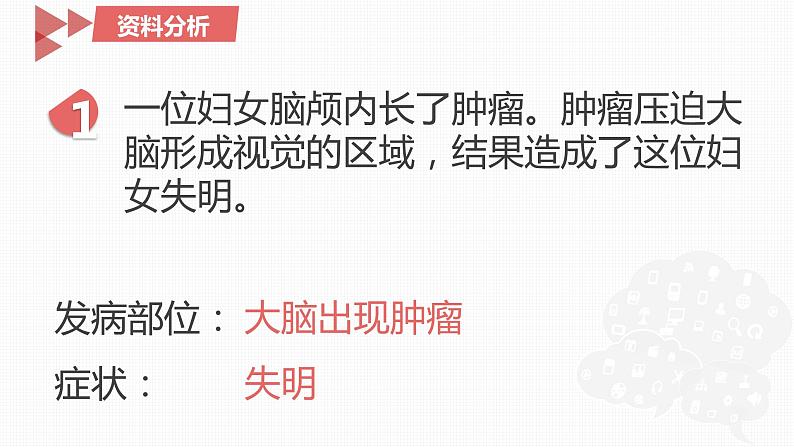 4.6.2神经系统的组成课件2021--2022学年人教版生物七年级下册(1)06