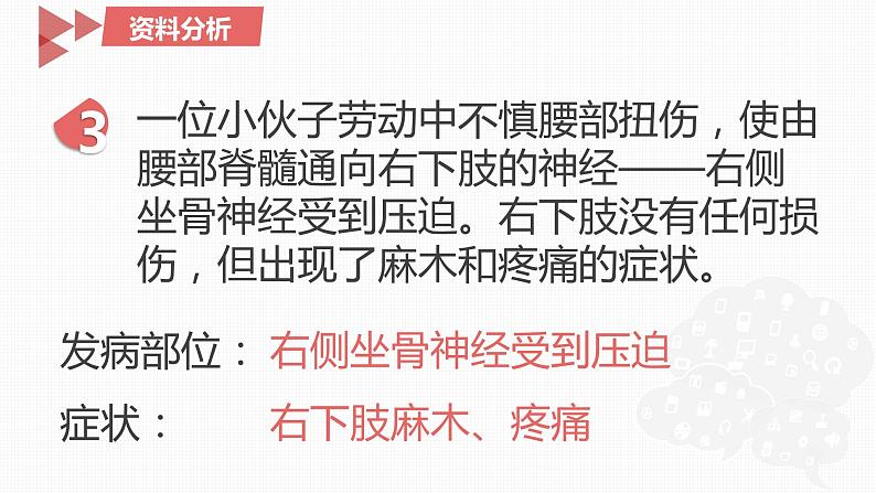 4.6.2神经系统的组成课件2021--2022学年人教版生物七年级下册(1)08