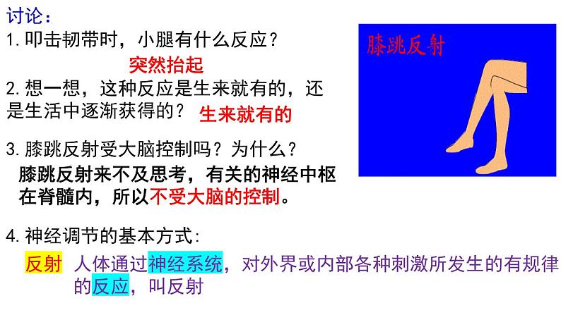 4.6.3神经调节的基本方式课件2021--2022学年人教版生物七年级下册03