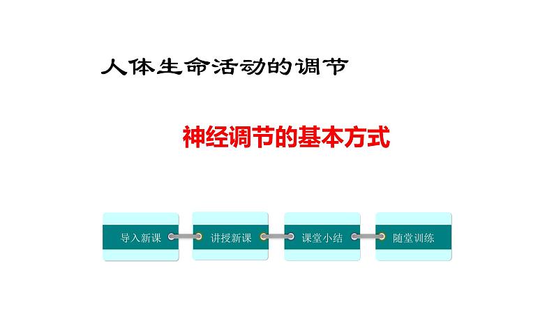 4.6.3神经调节的基本方式课件2021-2022学年人教版七年级生物下册03