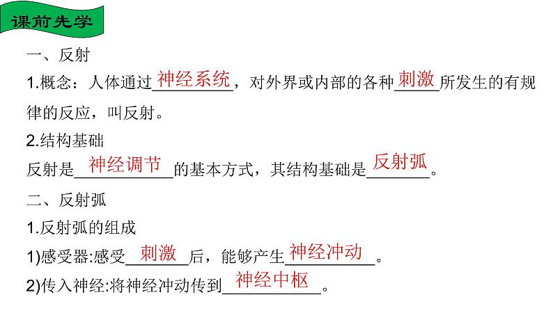 4.6.3神经调节的基本方式课件2021-2022学年人教版七年级生物下册05