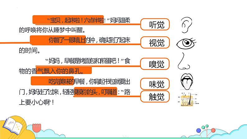 4.6.1人体对外界环境的感知课件2021-2022学年人教版生物七年级下册第4页