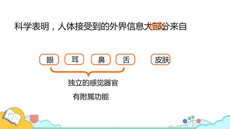 4.6.1人体对外界环境的感知课件2021-2022学年人教版生物七年级下册第6页