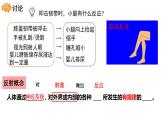 4.6.3神经调节的基本方式课件2021-- 2022学年人教版生物七年级下册