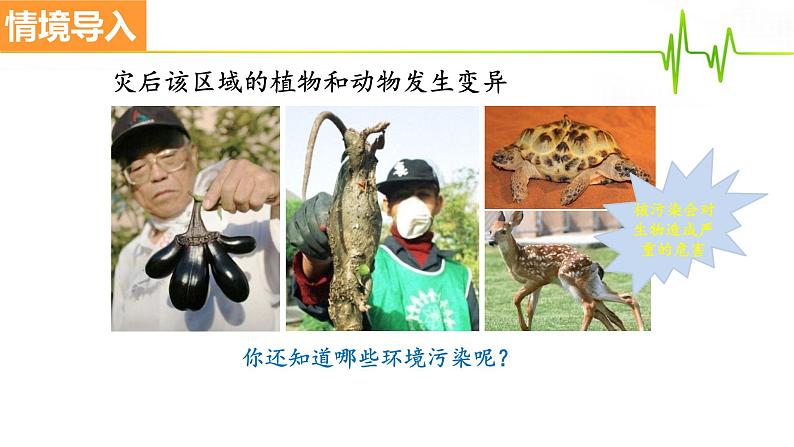 4.7.2探究环境污染对生物的影响课件2021-2022学年人教版生物七年级下册03