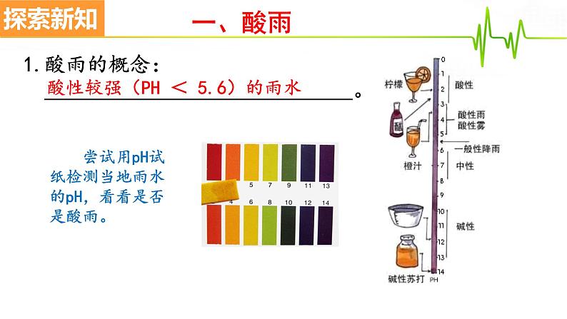 4.7.2探究环境污染对生物的影响课件2021-2022学年人教版生物七年级下册07