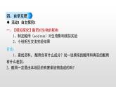 4.7.2探究环境污染对生物的影响课件-2021-2022学年人教版生物七年级下册