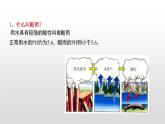 4.7.2探究环境污染对生物的影响课件-2021-2022学年人教版生物七年级下册