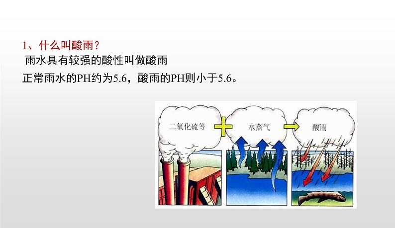 4.7.2探究环境污染对生物的影响课件-2021-2022学年人教版生物七年级下册05