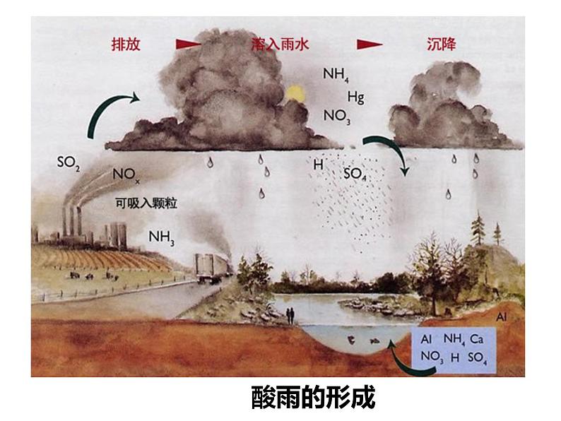 4.7.2探究环境污染对生物的影响课件人教版七年级生物下册第3页