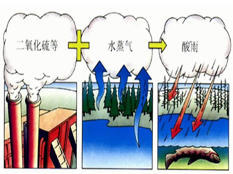 4.7.2探究环境污染对生物的影响课件人教版七年级生物下册第4页