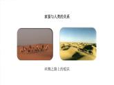 2020--2021学年人教版生物八年级下册7.1.2昆虫的生殖和发育课件