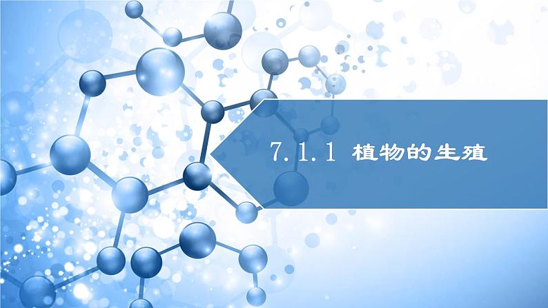 2020--2021学年人教版八年级下册7.1.1植物的生殖课件01