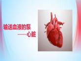 4.4.3输送血液的泵---心脏课件（第1课时）2021-2022学年人教版七年级下册生物