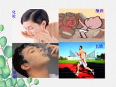 《健康及其条件》PPT课件-(优秀课获奖)2022年北师大版-(2)