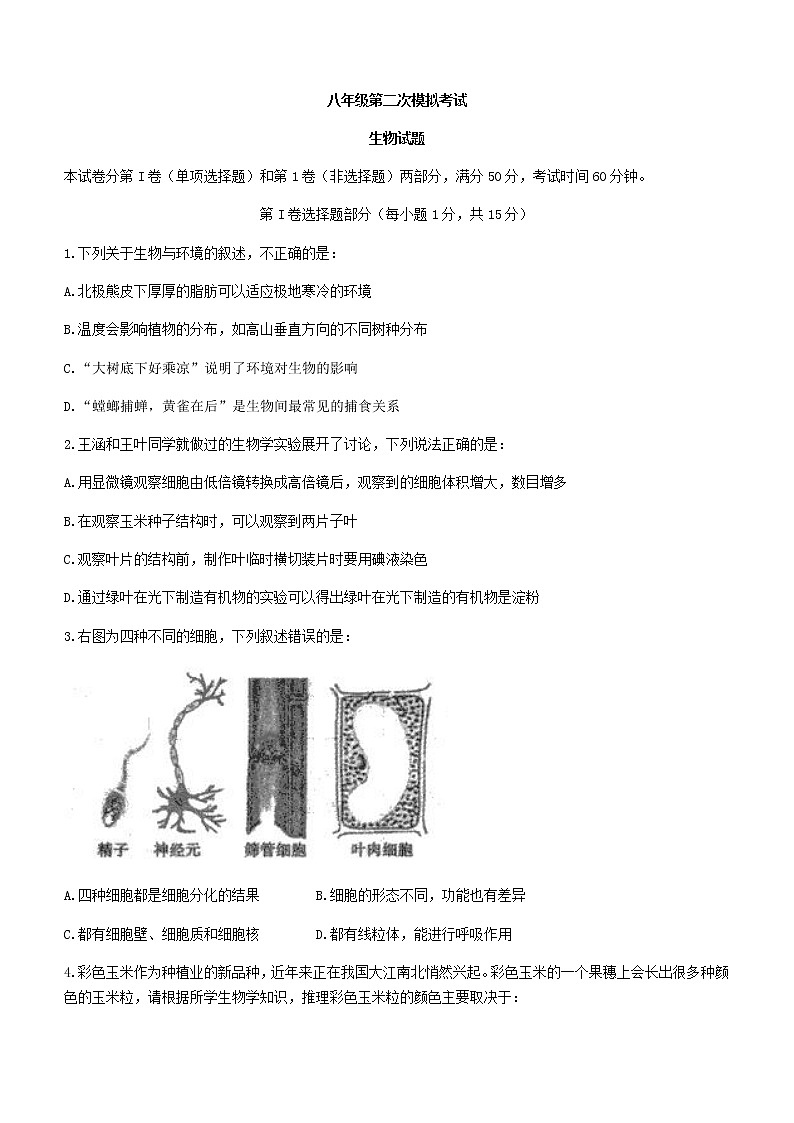 2022年山东省泰安市新泰市中考二模生物试题(word版含答案)01