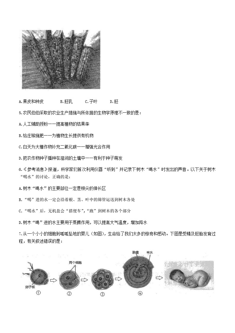 2022年山东省泰安市新泰市中考二模生物试题(word版含答案)02