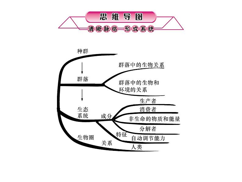 第02课时 种群、群落和生态系统第2页