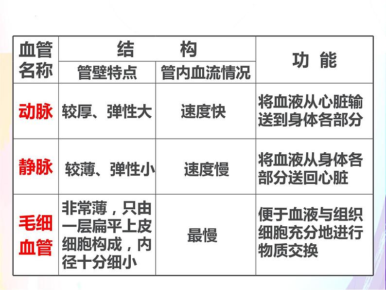 4.4.3输送血液的泵--心脏课件2021--2022学年人教版生物七年级下册第1页