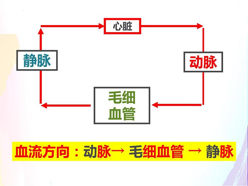 4.4.3输送血液的泵--心脏课件2021--2022学年人教版生物七年级下册第2页