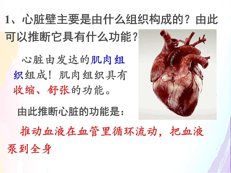 4.4.3输送血液的泵--心脏课件2021--2022学年人教版生物七年级下册第7页